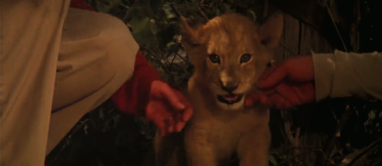 Roar Screenshot