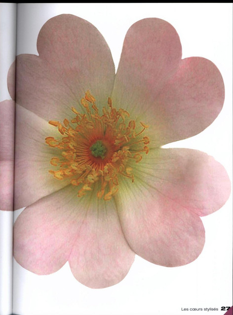 0027