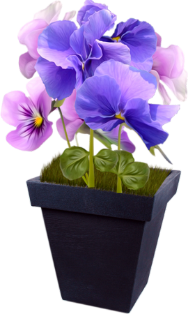 68f28d52.png