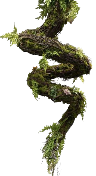 c47e9bf1e5823ba07ecf4025a90ebfc0 removebg preview.png