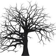 tree 1511603 1280