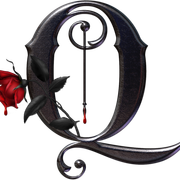 Q