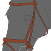 suitset1 4 1