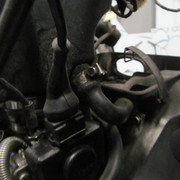 IMG 0407
