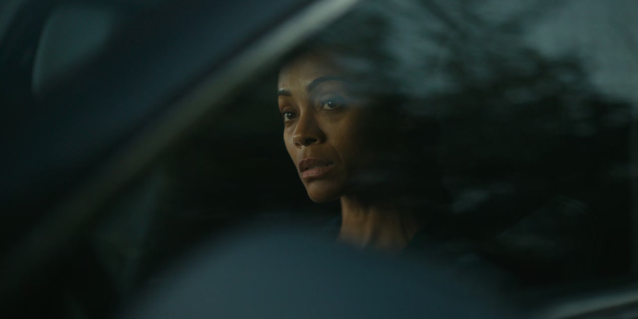 Lioness Screenshot