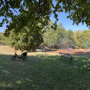 IMG 3174
