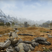 After running DynDOLOD