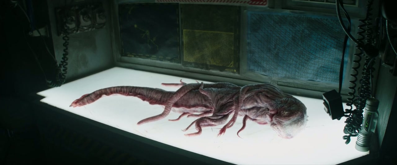 Underwater Screenshot