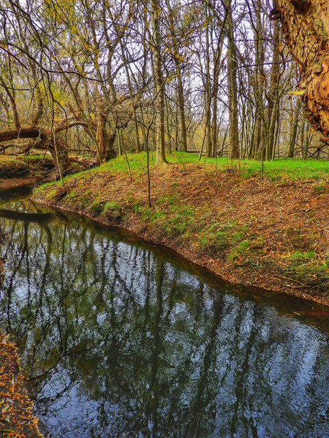 DSCN4959.jpg