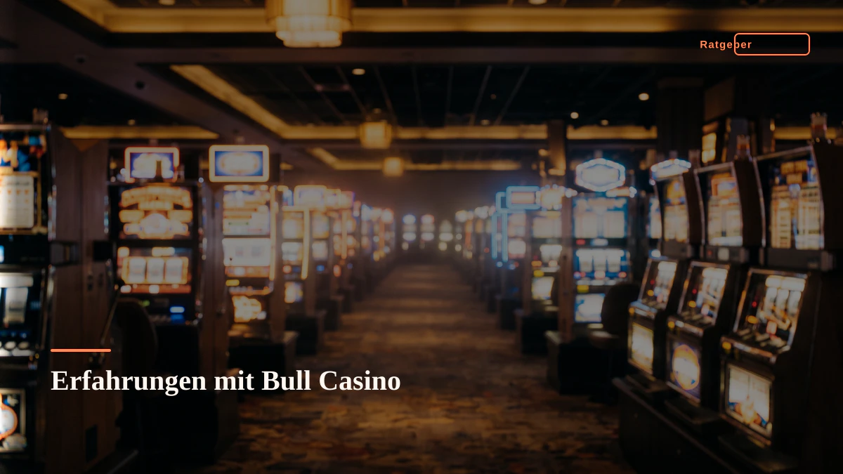 Erfahrungen mit Bull Casino