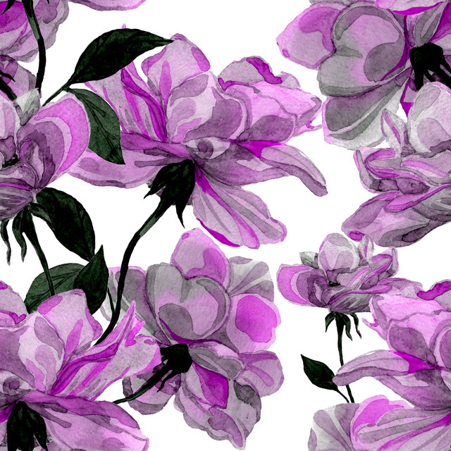 shutterstock 548181154.jpg