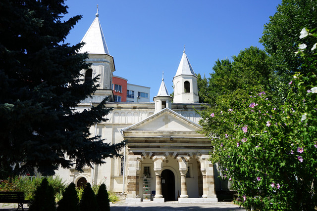 https://i.ibb.co/XrfNJLrw/DSC02125.jpg