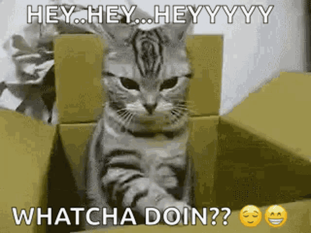 OGC-1.gif