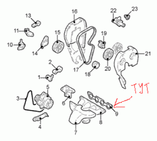 https://i.ibb.co/XrhF0hkc/38401-1.gif