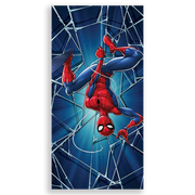 31001044-Homem-Aranha