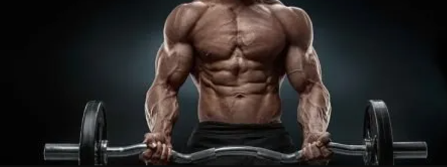 Muscle Building Stack.png