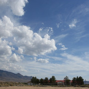 IMG 7955