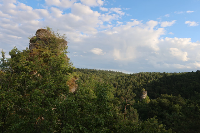 Zeckenstein (1).jpg