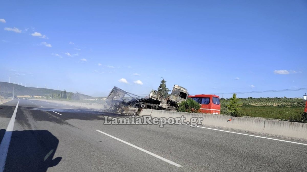 τροχαιο νταλικα (9)