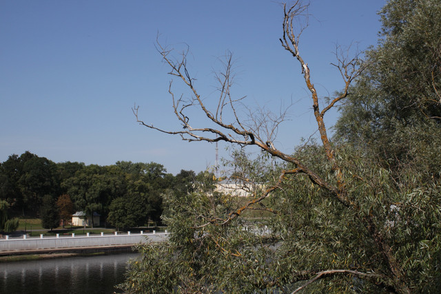 IMG 7152 2.jpg