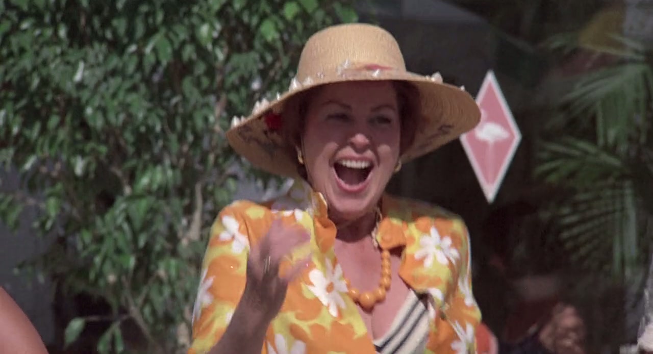 The Flamingo Kid Screenshot