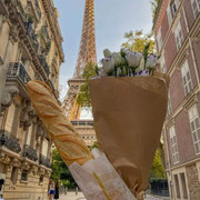 pariz