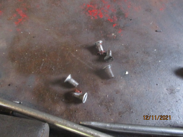 IMG-9238.jpg