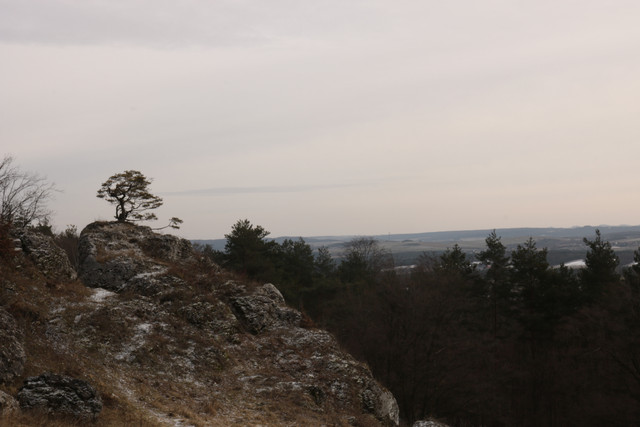 IMG-9188.jpg