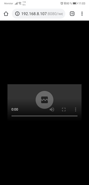 Screenshot-20190429-110331-com-android-chrome