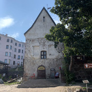 IMG-3533