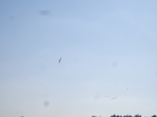 DSC01261.jpg