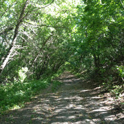 IMG-4156