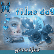 6.gif
