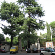 IMG-8781