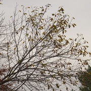 DSC09708