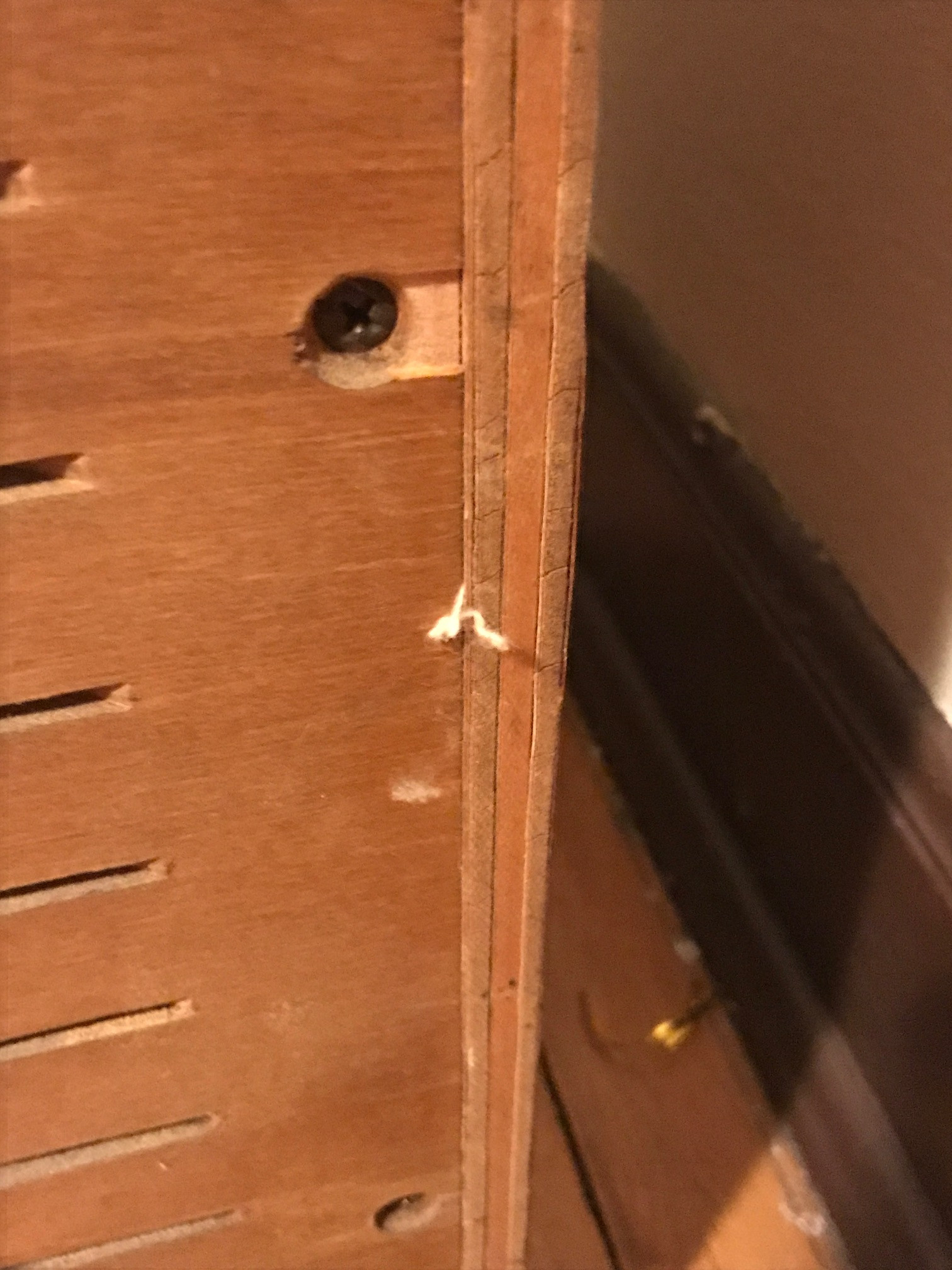 insulation.jpg