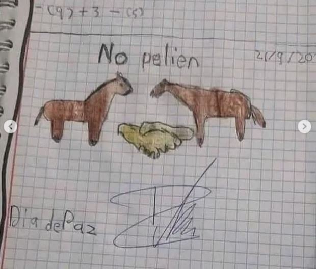 no-pelen.jpg