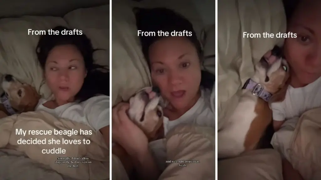 Rescue Dog Finds Peace with Owner's Cuddles