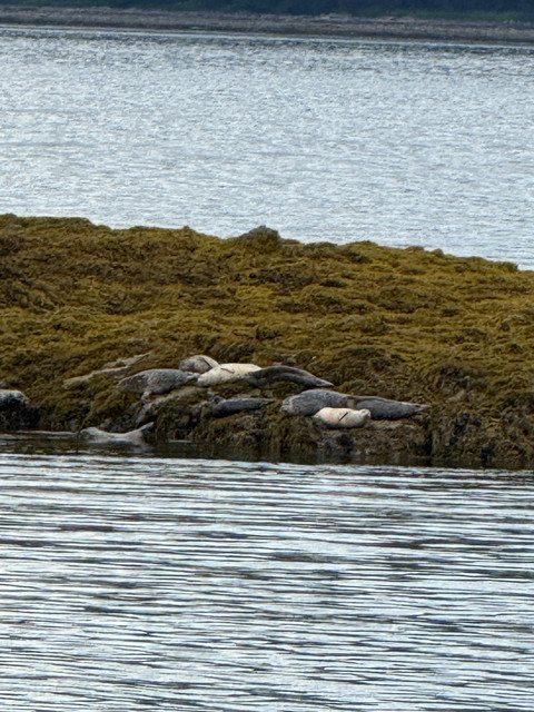 IMG 5825.jpg