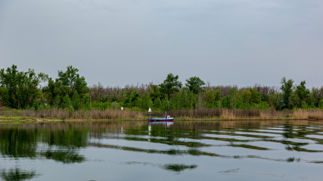 IMG 0593.jpg