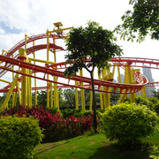 DSC00391