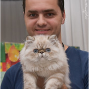 27