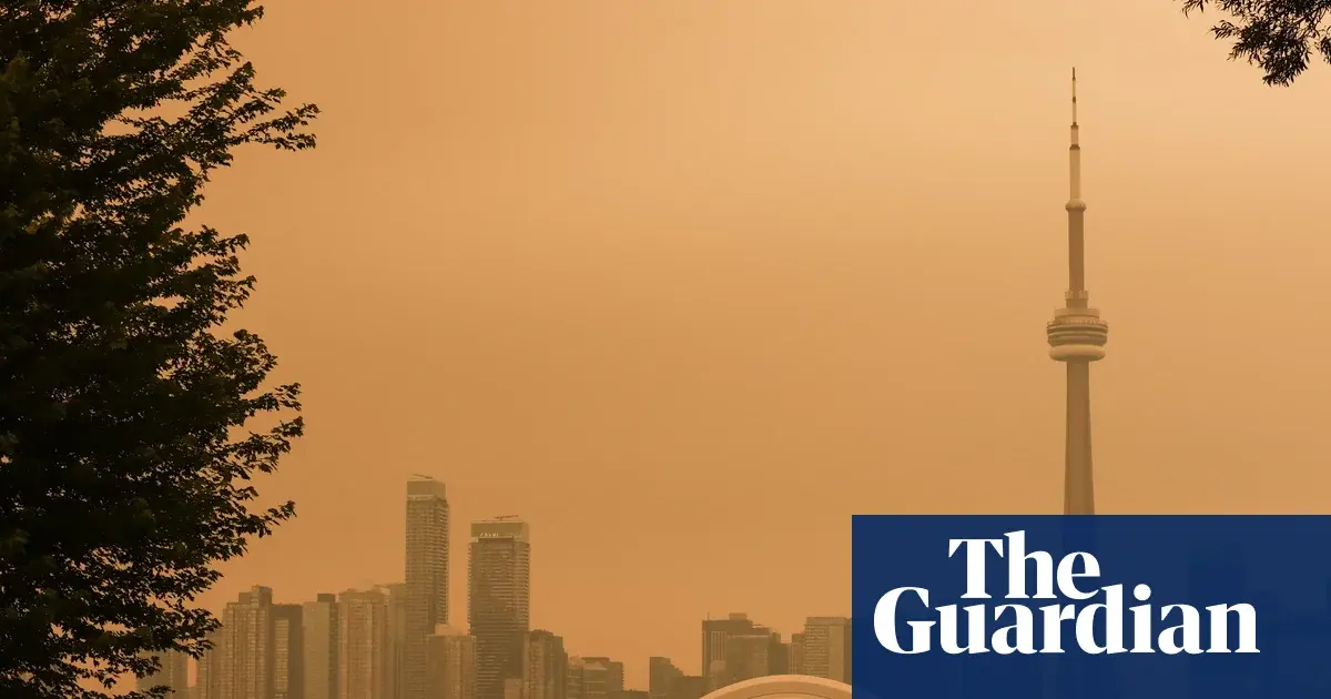 Wildfire Aftermath: Lingering Scars on Communities and Environment
