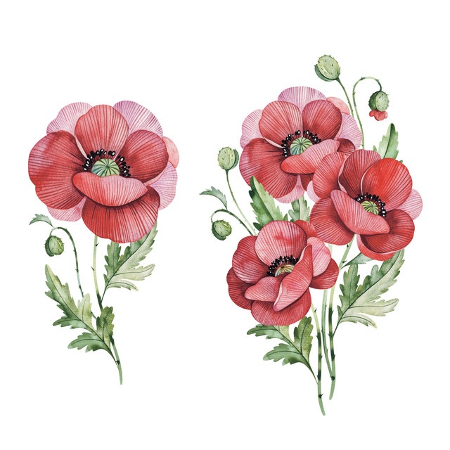 shutterstock 1482405929.jpg