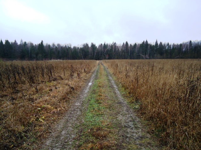 IPB Image
