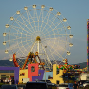 DSC02343