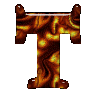 T1