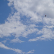 DSC00695