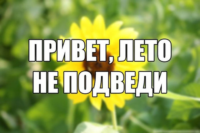 ne podvedi.jpg