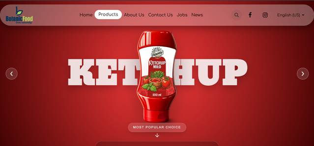 Website 4